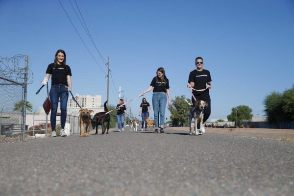 PetSmart Week of Service in Phoenix